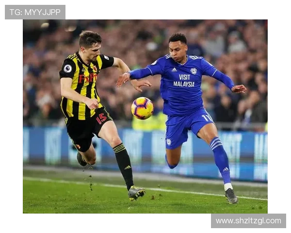 沃特福德足球俱乐部发展历程与未来展望分析 沃特福德足球俱乐部发展历程与未来展望分析