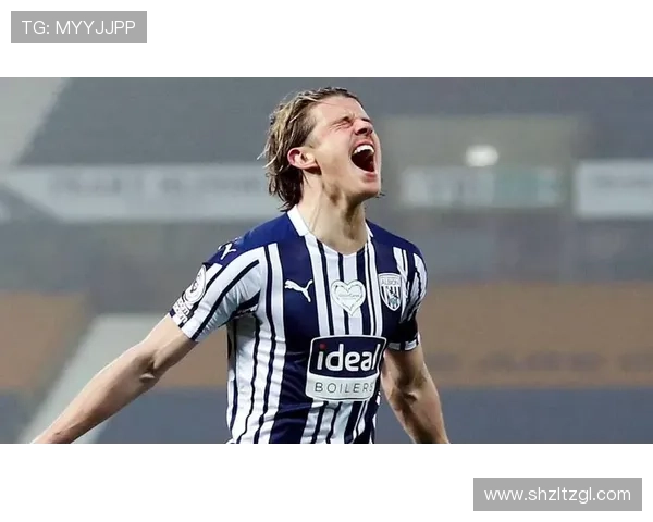 斯旺西俱乐部发布新赛季规划聚焦青训与阵容调整力争联赛稳定提升表现