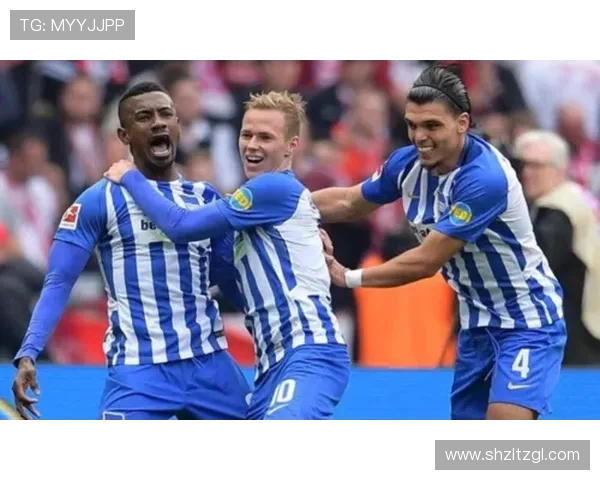 霍芬海姆1899俱乐部的崛起与未来发展展望解析